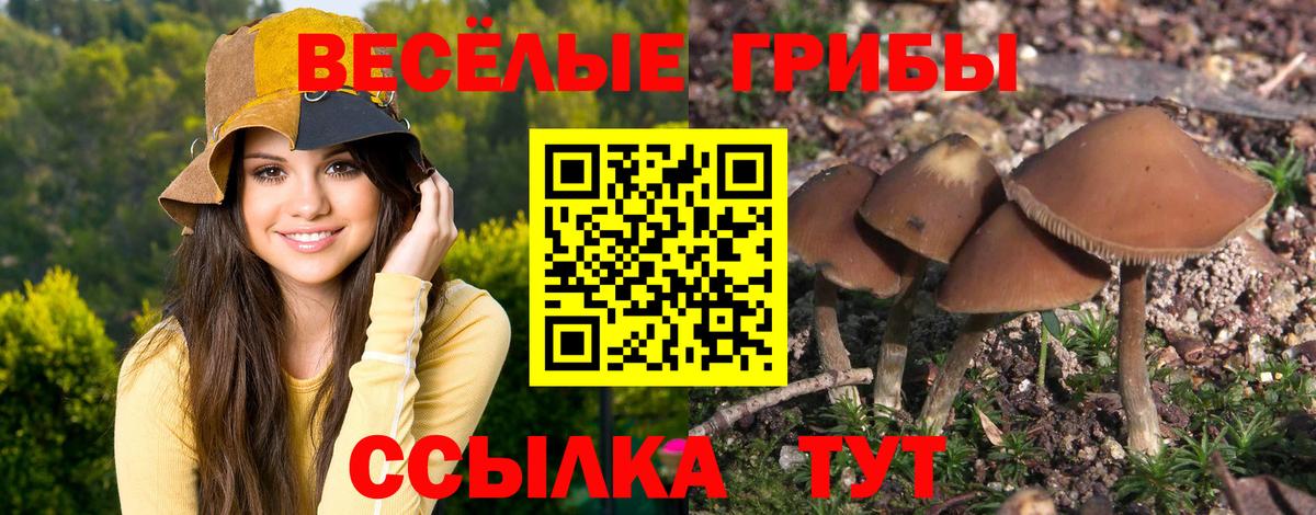 где купить наркотик  Псилоцибиновые грибы Cubensis  Псилоцибиновые грибы ЛСД  Вход с VPN  Донецк 