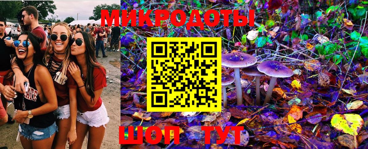 Псилоцибиновые грибы Psilocybe Донецк